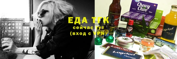 тгк Инсар