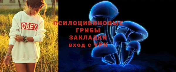 тгк Инсар