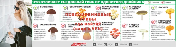 тгк Инсар