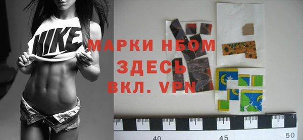 тгк Инсар