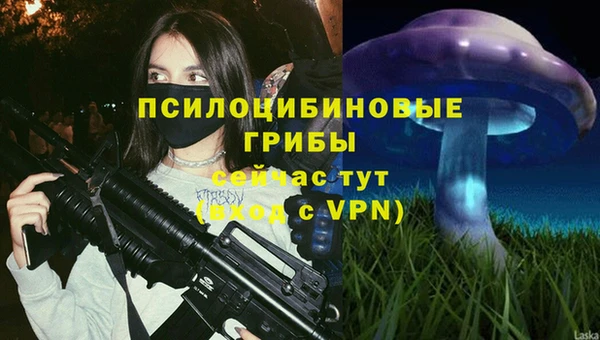 тгк Инсар