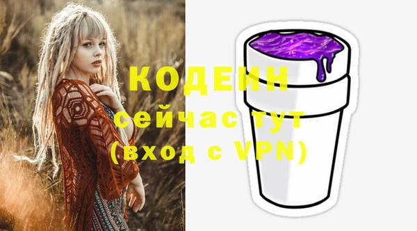 тгк Инсар