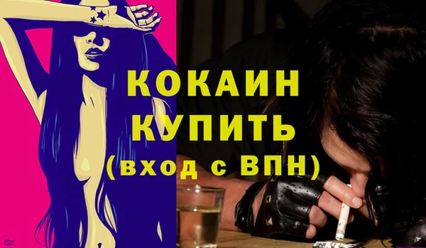 тгк Инсар